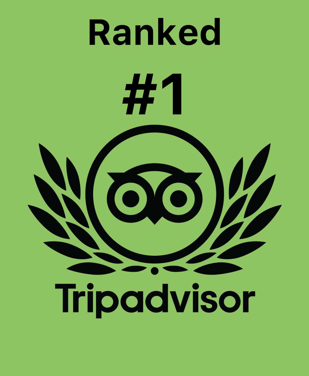 A TripAdvisor Certificate of Excellence award for Riviera Health Spa in Torrance, CA, with a 5-star rating and positive reviews highlighted.